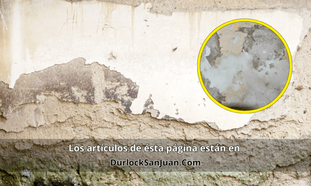 "Pared deteriorada por la humedad con enfoque en un área con moho, mostrando la solución de la placa anti-humedad PH de Durlock."